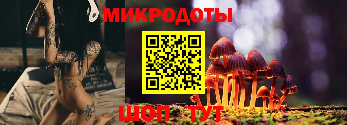 Псилоцибиновые грибы мицелий Благодарный